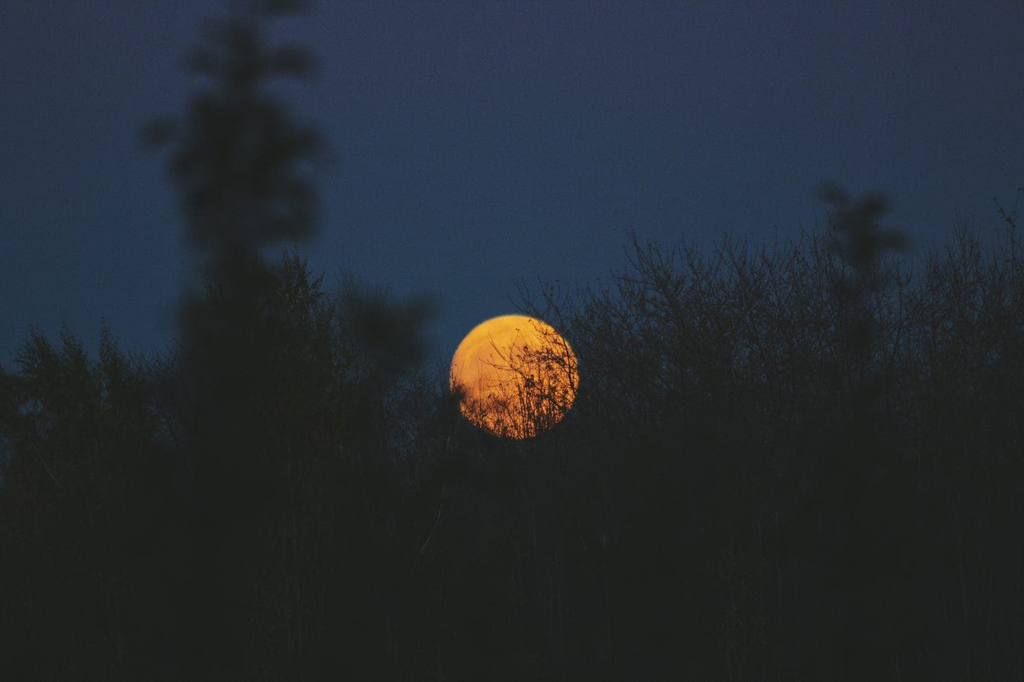 Photo by Noah Silliman on Unsplash